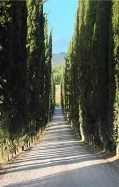 Tuscany