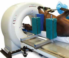 Multi Slice Spiral CT in use