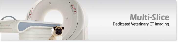 Multi-Slice Dedicated Veterinary CT, Multi-Slice Equine CT
