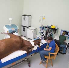 O•Scan Compact Equine Limb MRI
