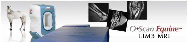 O•Scan Compact Equine MRI