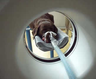 Positioning for a head scan 1